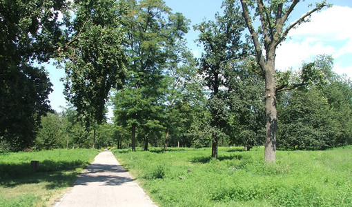 Una immagine del parco del Boschetto di Nichelino