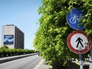 La pista ciclabile di corso Bramante La pista ciclabile di corso Bramante