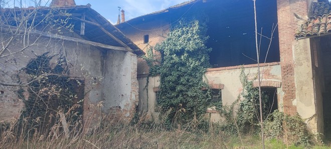 Animali scolpiti e dipinti: Ranverso svela i suoi "residenti silenziosi" con un tour speciale Animali scolpiti e dipinti: Ranverso svela i suoi "residenti silenziosi" con un tour speciale