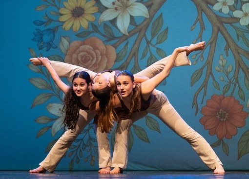 A Nichelino uno spettacolo a favore della Ricerca sulla Fibrosi Cistica A Nichelino uno spettacolo a favore della Ricerca sulla Fibrosi Cistica