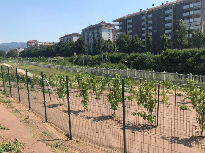 Una immagine del parco intitolato a Pietro Mennea Una immagine del parco intitolato a Pietro Mennea