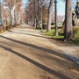Cantieri al Valentino, via l'asfalto e più verde: realizzato il 40% del progetto
