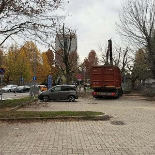Nichelino: parcheggiano in divieto di sosta e impediscono la potatura degli alberi