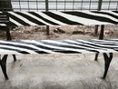 La panchina dipinta di bianconero La panchina dipinta di bianconero