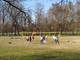 Un mercoledì ordinario al Parco della Colletta, tra passeggiate e partite di pallavolo