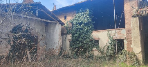 Animali scolpiti e dipinti: Ranverso svela i suoi "residenti silenziosi" con un tour speciale Animali scolpiti e dipinti: Ranverso svela i suoi "residenti silenziosi" con un tour speciale