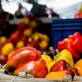 Fiera del Peperone 2023: incontro su come costruire reti e sinergie