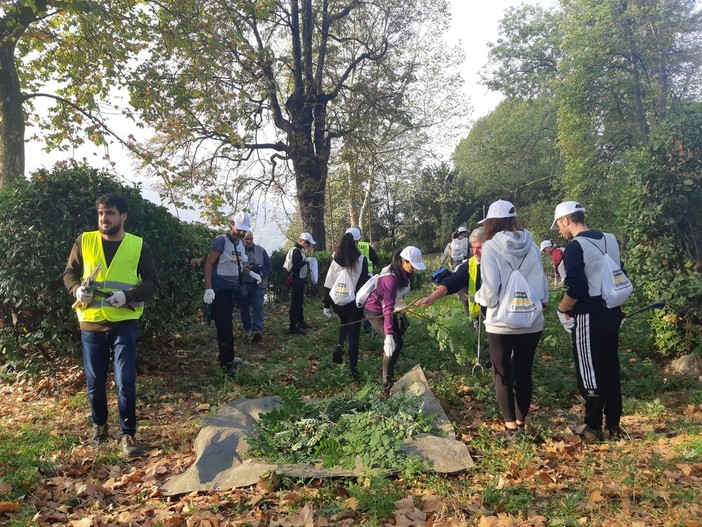 Immagine di repertorio Immagine di repertorio