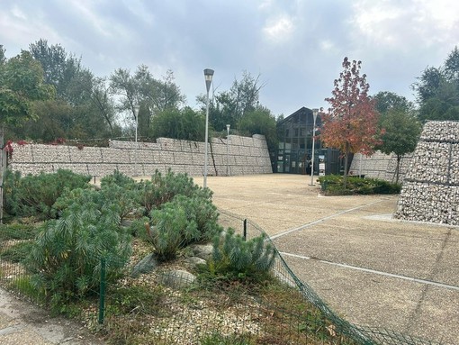 Note sotto le stelle: musica gratuita al Pav con la Filarmonica bosconerese