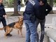 Torino, tre arresti per spaccio al Parco del Valentino