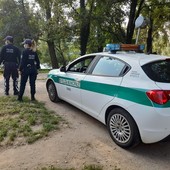 Autista Ncc multato all'Allianz Stadium, sequestrato il mezzo ad un altro conducente Autista Ncc multato all'Allianz Stadium, sequestrato il mezzo ad un altro conducente