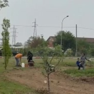 A Nichelino nasce il primo frutteto 'partecipato'