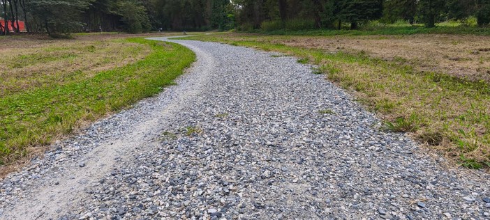 In Piemonte 8 milioni per tutelare la biodiversità naturale: interventi a Chivasso e Rivoli In Piemonte 8 milioni per tutelare la biodiversità naturale: interventi a Chivasso e Rivoli