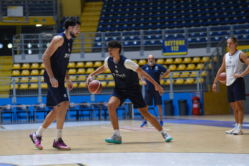 Basket, Reale Mutua in trasferta a Brindisi nell’anticipo del sabato sera Basket, Reale Mutua in trasferta a Brindisi nell’anticipo del sabato sera