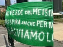 Meisino, presidio davanti al tribunale: “Fermate lo scempio”