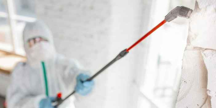 Pulizia e Imbiancatura