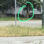 Ancora segnalazioni di abusivi al parcheggio Caio Mario