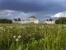 A Stupinigi una mostra racconta l'emergenza della donazione di sangue
