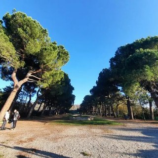 Parco Europa: approvate le linee guida per la riqualifica degli immobili dell'area verde