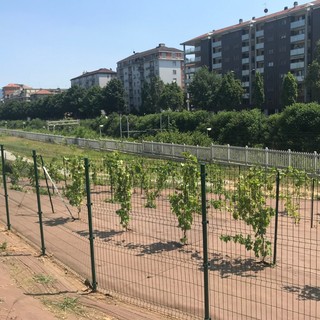 Una immagine del parco intitolato a Pietro Mennea
