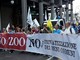 La libertà degli animali non ha prezzo: Torino dice no agli zoo