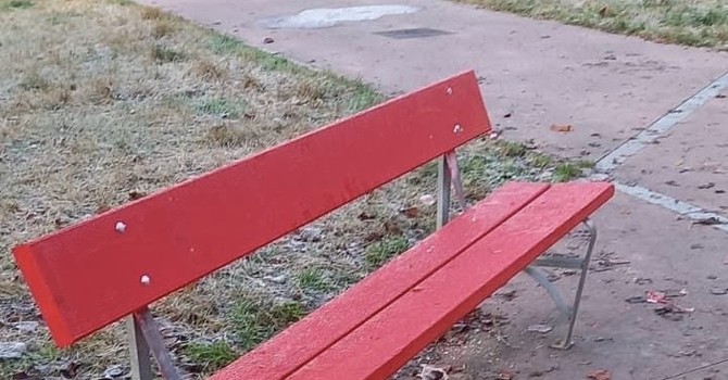 L’intervento in piazza Livio Bianco dopo le segnalazioni dei residenti L’intervento in piazza Livio Bianco dopo le segnalazioni dei residenti