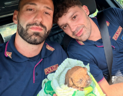 Intrappolato nelle condotte fognarie a soli dieci giorni di vita: salvato un cucciolo e ricongiunto alla madre