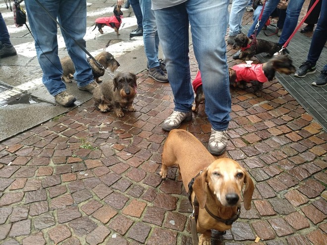 Immagine d'archivio Immagine d'archivio