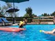 Un tuffo rinfrescante per i nostri amici a quattro zampe: benvenuti alla piscina di &quot;Casa del Cane Vagabondo&quot;!