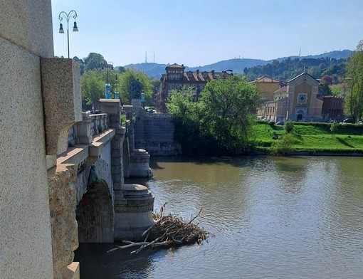 Pulizia in vista per alcuni ponti di Torino