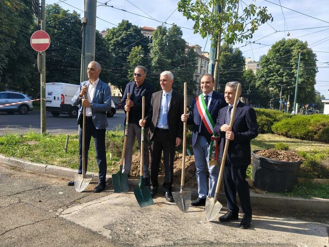 Nuovi alberi piantumati a Torino