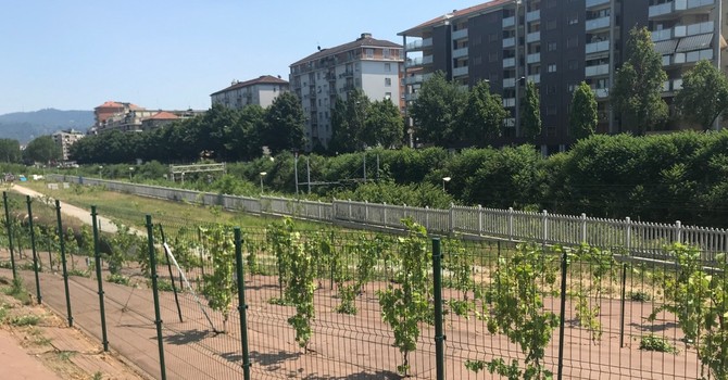 Una immagine del parco intitolato a Pietro Mennea