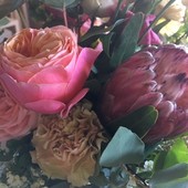 Foto generica d'archivio