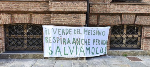 Alcuni momenti della protesta degli ambientalisti Alcuni momenti della protesta degli ambientalisti