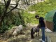 Fondazione AIEF inaugura la fattoria coi mini pony al Castello di Lucento Fondazione AIEF inaugura la fattoria coi mini pony al Castello di Lucento