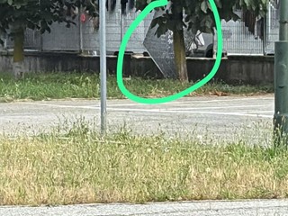 Ancora segnalazioni di abusivi al parcheggio Caio Mario