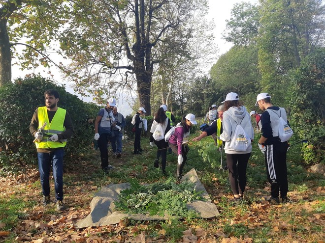 Immagine di repertorio Immagine di repertorio