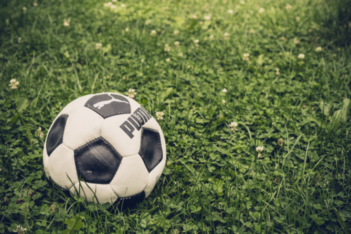 Quindici discipline per un pomeriggio sportivo al Gerbido di Cavour Quindici discipline per un pomeriggio sportivo al Gerbido di Cavour