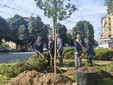 Nuovi alberi piantumati a Torino Nuovi alberi piantumati a Torino