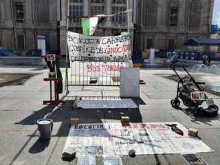 Attivisti Pro Pal in piazza Castello