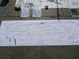 Attivisti Pro Pal in piazza Castello