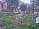 Piazza Benefica, da lunedì al via i lavori di riqualificazione