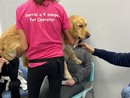 La pet therapy porta un sorriso in psichiatria al Santa Croce di Moncalieri
