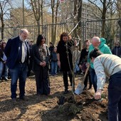 Un momento della piantumazione della magnolia