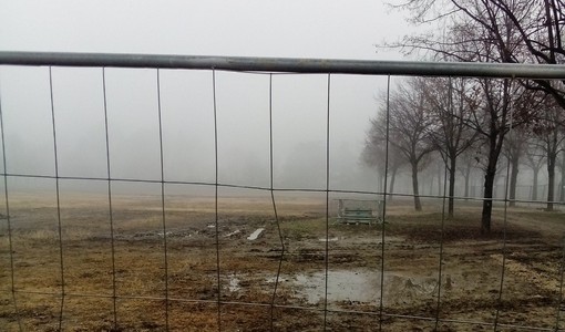 Un lettore segnala le condizioni del prato di piazza d'Armi dopo le Atp Finals