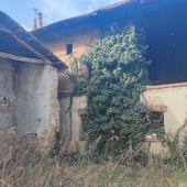 Animali scolpiti e dipinti: Ranverso svela i suoi "residenti silenziosi" con un tour speciale