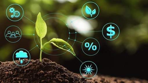 Meno pesticidi, più precisione: la promessa di Plantvoice