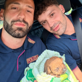 Intrappolato nelle condotte fognarie a soli dieci giorni di vita: salvato un cucciolo e ricongiunto alla madre
