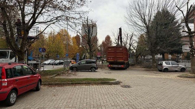 Nichelino: parcheggiano in divieto di sosta e impediscono la potatura degli alberi