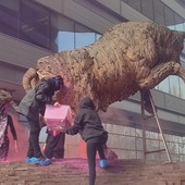 Vernice rosa sul toro del Campus per dire no alle molestie in Università